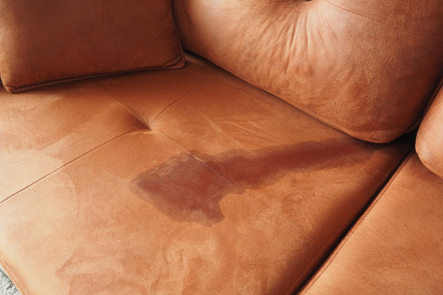 Fabric Clean + Heavy Stain Removal
